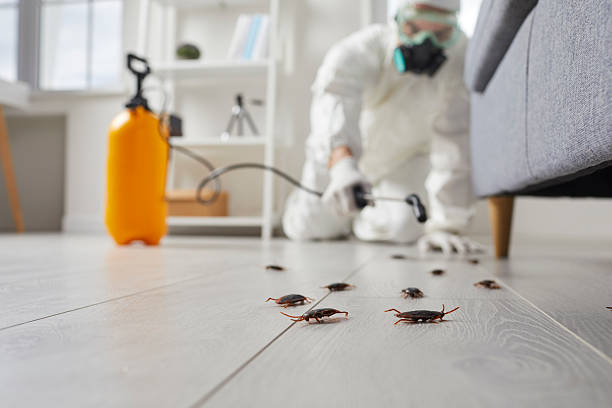 Commercial Kitchen Cockroach Control in Savannah
